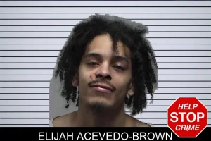 Elijah Acevedo-Brown mugshot