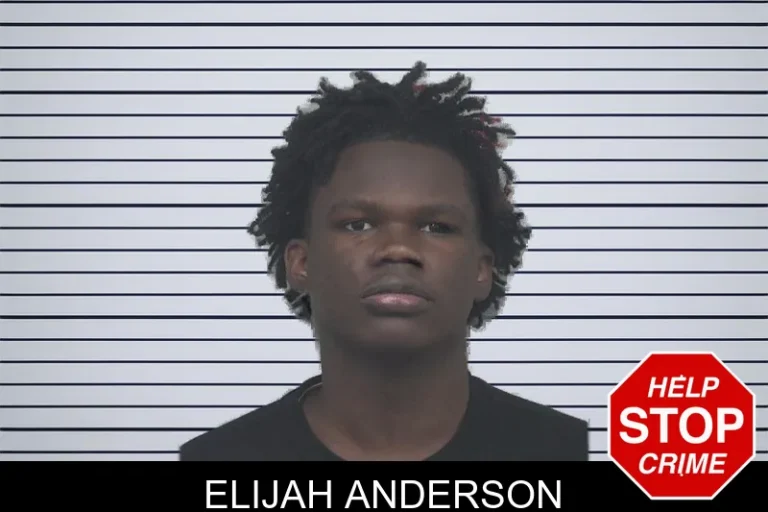 Elijah Anderson