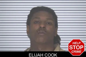 Elijah Cook mugshot