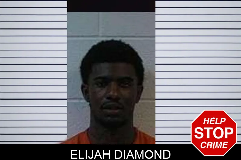 Elijah Diamond mugshot