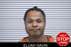 Elijah Gavin mugshot