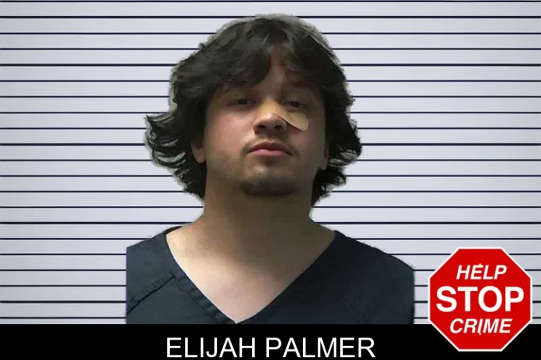 Elijah Palmer mugshot – Gilmer County , Georgia Elijah Palmer