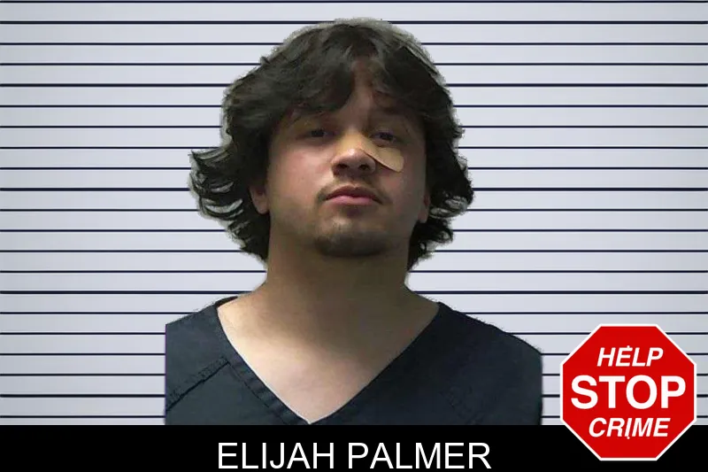 Elijah Palmer mugshot