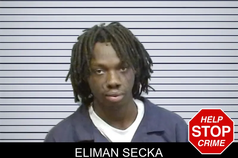 Eliman Secka mugshot