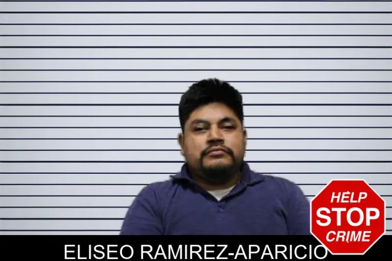 Eliseo Ramirez-Aparicio