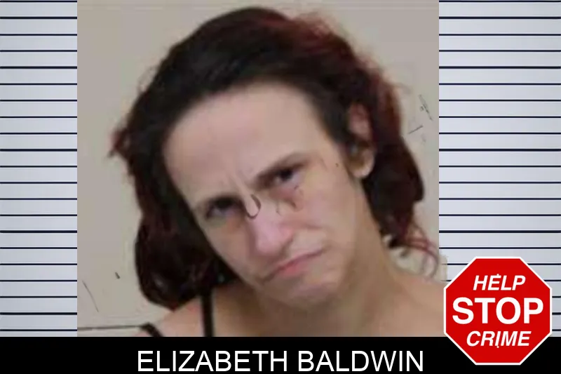 Elizabeth Baldwin mugshot – Peach County , Georgia Elizabeth Baldwin mugshot