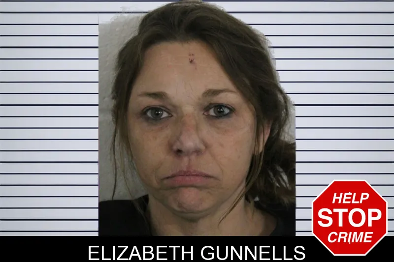 Elizabeth Gunnells mugshot