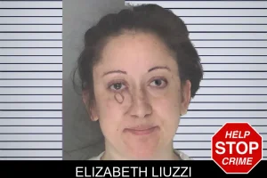 Elizabeth Liuzzi mugshot