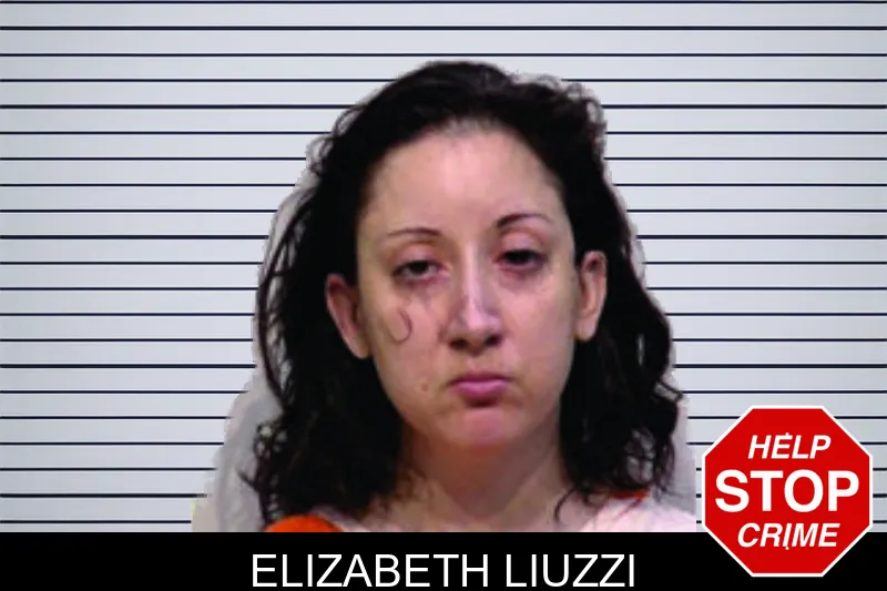 Elizabeth Liuzzi mugshot