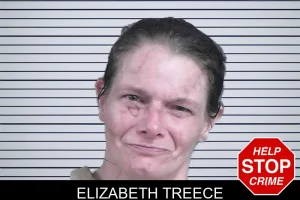 Elizabeth Treece mugshot
