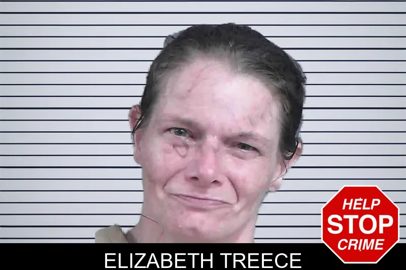 Elizabeth Treece mugshot