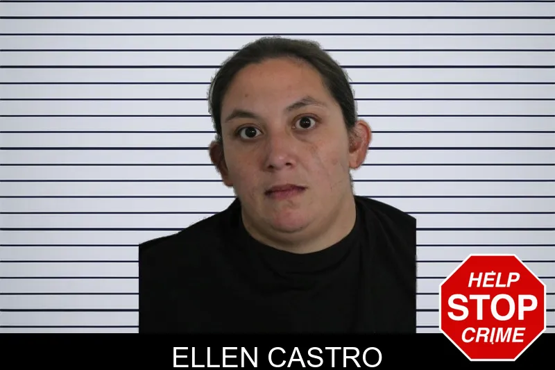Ellen Castro mugshot