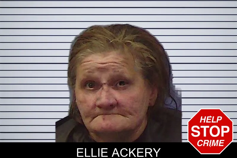 Ellie Ackery mugshot