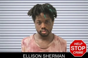Ellison Sherman mugshot