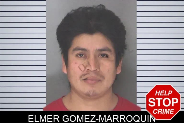 Elmer Gomez-Marroquin