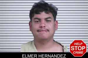Elmer Hernandez mugshot