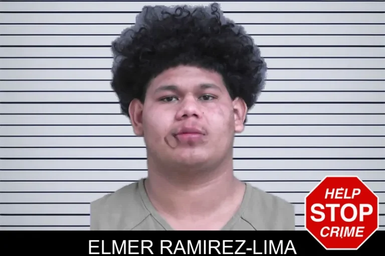 Elmer Ramirez-Lima