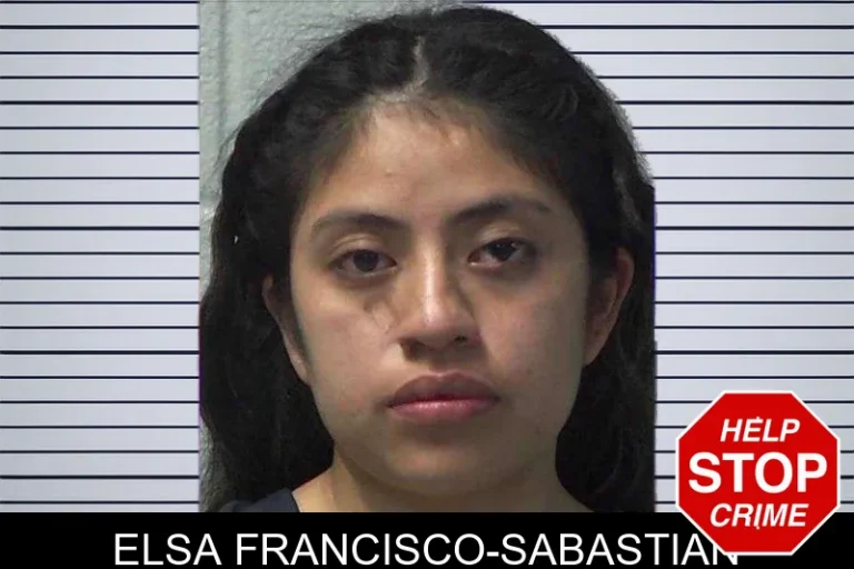 Elsa Francisco-Sabastian mugshot – Gilmer County , Georgia Elsa Francisco-Sabastian