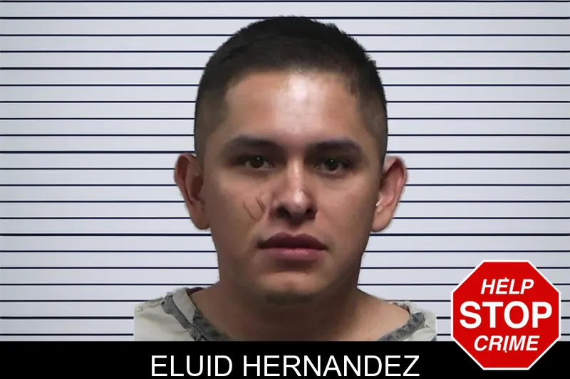 Eluid Hernandez mugshot