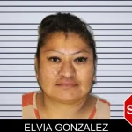 Elvia Gonzalez mugshot – Hall County , Georgia Elvia Gonzalez mugshot