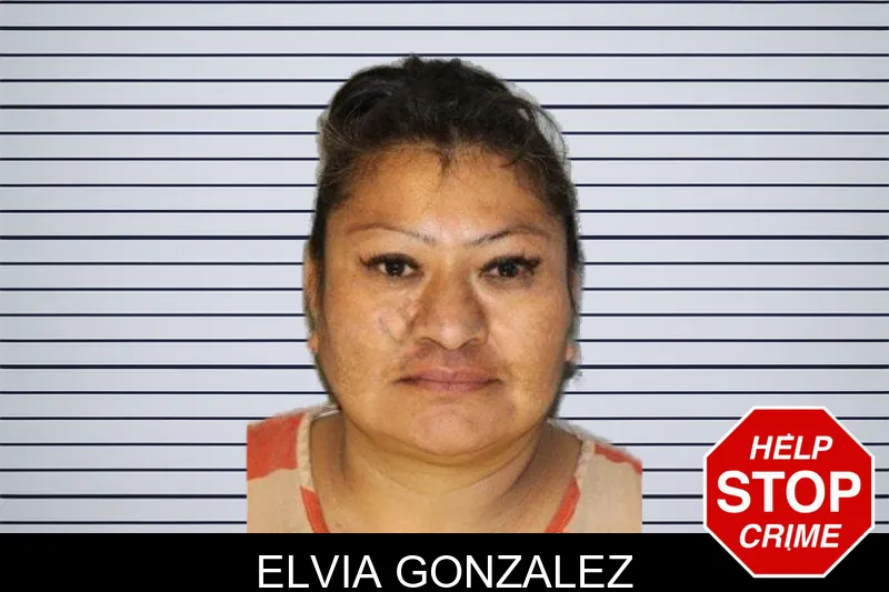 Elvia Gonzalez mugshot – Hall County , Georgia Elvia Gonzalez mugshot