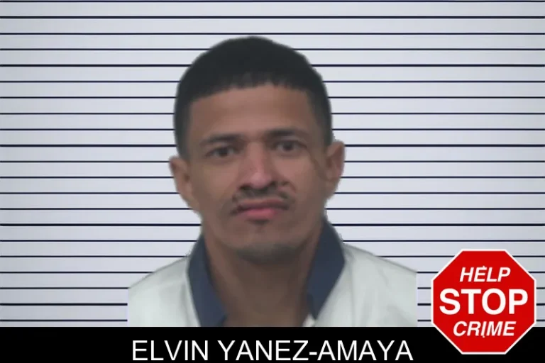Elvin Yanez-Amaya mugshot – Gwinnett County , Georgia Elvin Yanez-Amaya