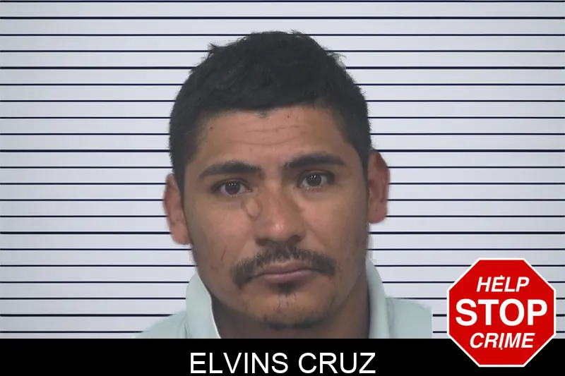 Elvins Cruz mugshot