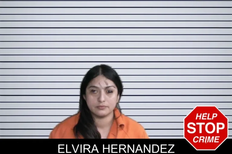 Elvira Hernandez mugshot – Twiggs County , Georgia Elvira Hernandez