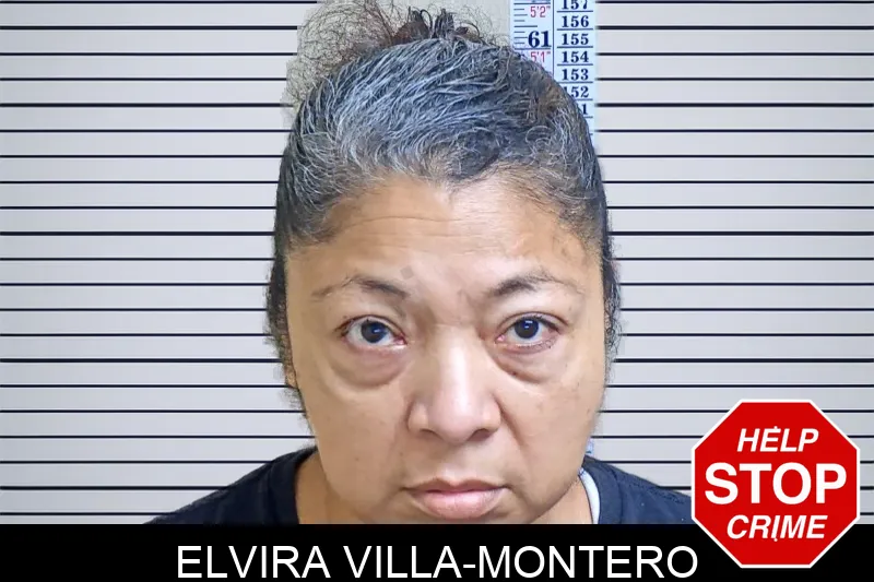 Elvira Villa-Montero mugshot