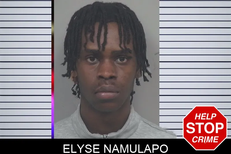 Elyse Namulapo mugshot