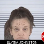 Elysia Johnston mugshot
