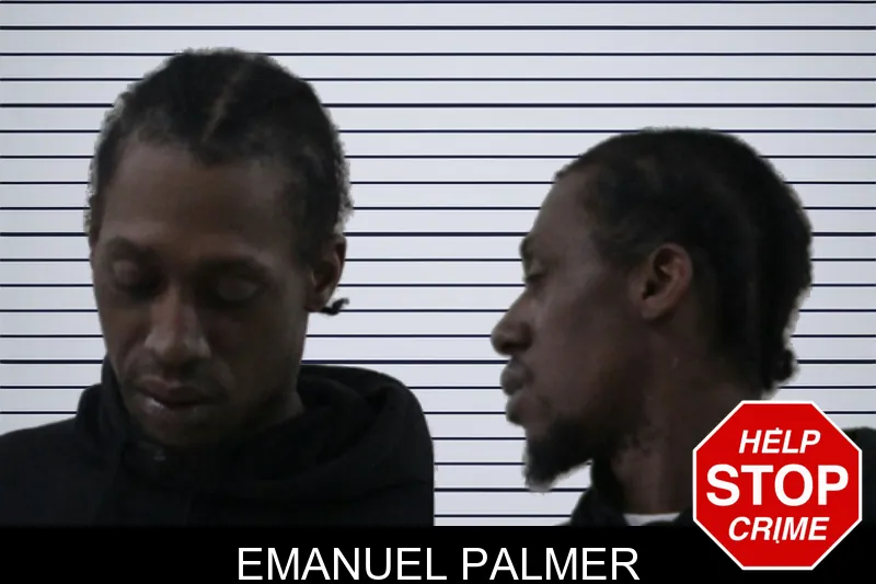 Emanuel Palmer mugshot