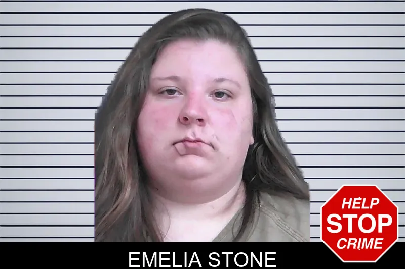 Emelia Stone mugshot – Gordon County , Georgia Emelia Stone mugshot