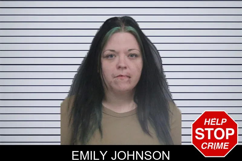 Emily Johnson mugshot – Catoosa County , Georgia Emily Johnson mugshot