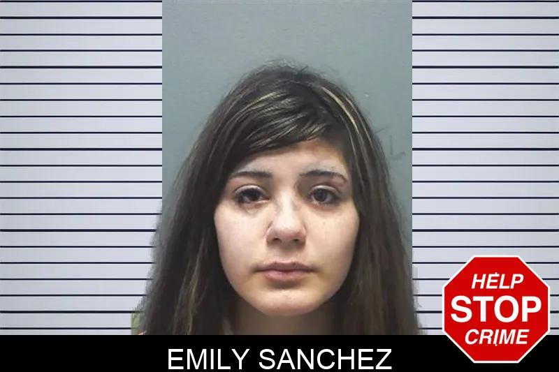 Emily Sanchez mugshot – Cherokee County , Georgia Emily Sanchez mugshot