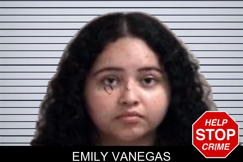 Emily Vanegas mugshot