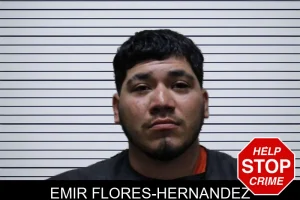 Emir Flores-Hernandez mugshot