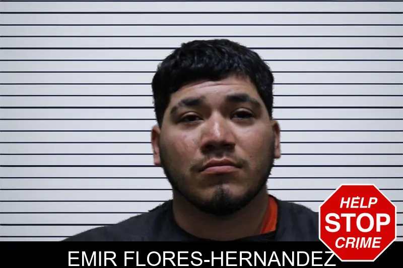 Emir Flores-Hernandez mugshot