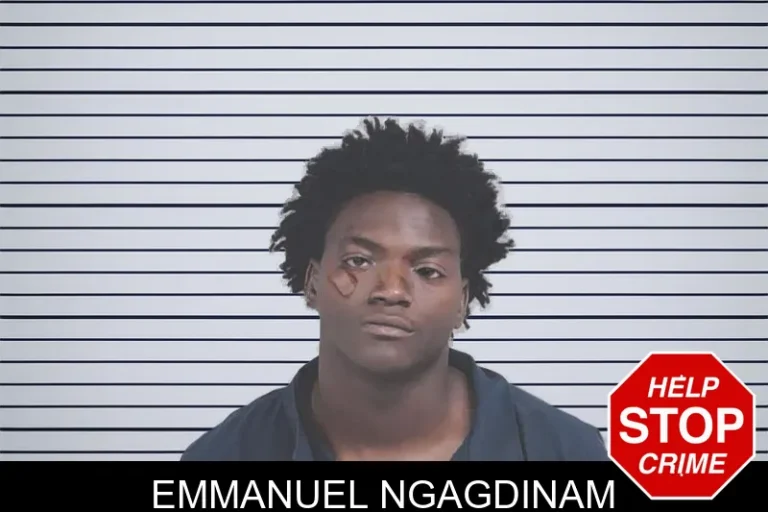 Emmanuel Ngagdinam mugshot – Lowndes County , Georgia Emmanuel Ngagdinam