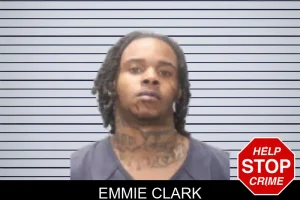 Emmie Clark mugshot