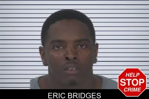 Eric Bridges mugshot