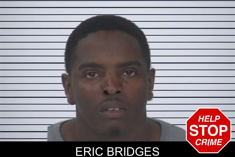 Eric Bridges mugshot