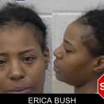 Erica Bush mugshot