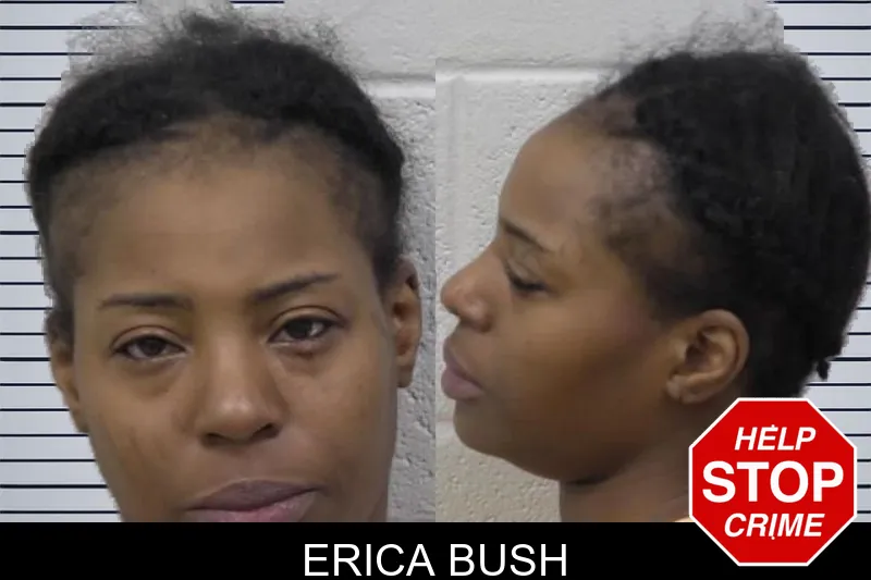 Erica Bush mugshot