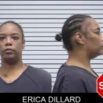 Erica Dillard mugshot