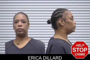 Erica Dillard mugshot