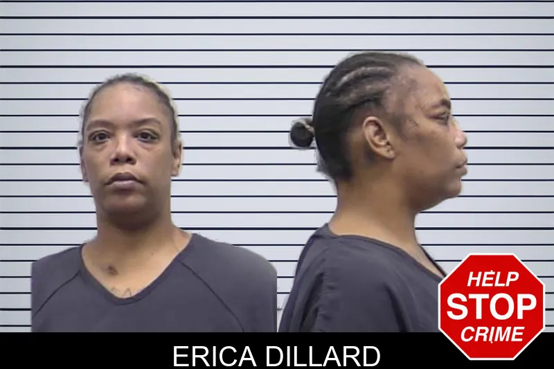 Erica Dillard mugshot