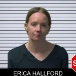 Erica Hallford mugshot – Gilmer County , Georgia Erica Hallford mugshot