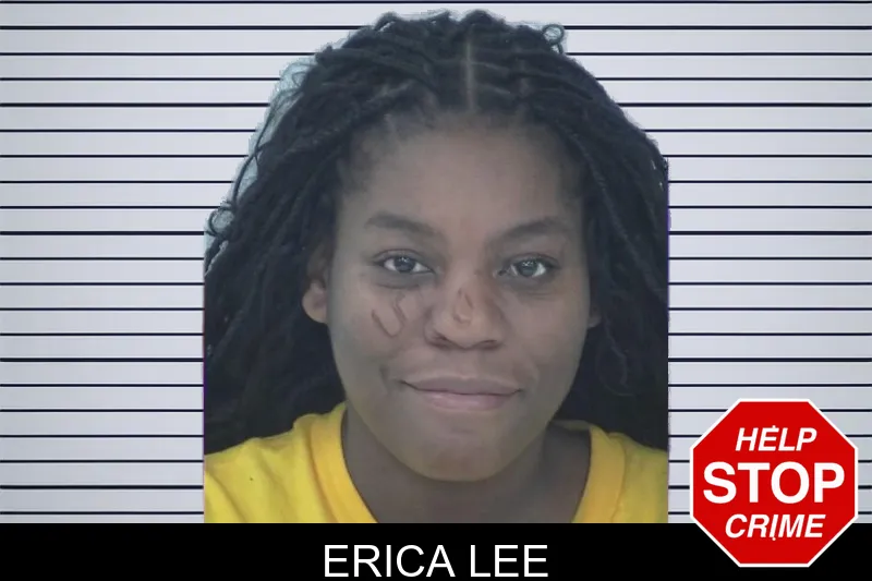Erica Lee mugshot