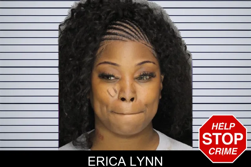 Erica Lynn mugshot – Cobb County , Georgia Erica Lynn mugshot